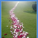   (44. ),  -  12  2014    