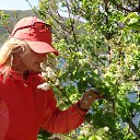 ���� ����, ����������� - ��������� 1 ���� 2014 � ������ ���� ����������