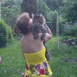 ����, ������, 65 ���