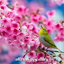 ���� �����, ���������, 60 ��� - ��������� 28 ����� 2014 � ������ ������ ��������