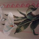 ���� �������@q&, �����-���������, 50 ��� - ��������� 13 ���� 2014 � ������ ���� �������