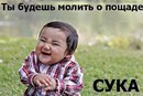 ���� �������, ������ �����, 39 ��� - ��������� 15 ����� 2014 � ������ ���� ����������
