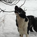 ���� ��������, ������ - ��������� 4 ���� 2014 � ������ ������