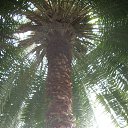 ���� ������, �����-���������, 64 ���� - ��������� 15 ������ 2014 � ������ ���������