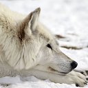 ���� ����, �������, 21 ��� - ��������� 17 ���� 2014