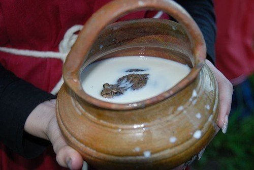В Древней Руси в сосуд с молоком запускали лягушку, для того чтобы молоко не нагревалось и не ...