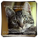 ���� ���������, ������, 41 ��� - ��������� 7 ��� 2014 � ������ ������ ��������