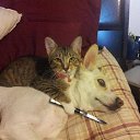 ���� ���������- ���� �������� !!, ������ - ��������� 7 ��� 2014 � ������ ������ ��������