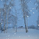 ���� Xacco, ������, 54 ���� - ��������� 11 ������� 2014 � ������ �����