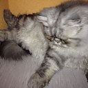 ���� �������, ��������� - ��������� 13 ��� 2014 � ������ �:)�