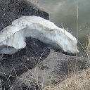 ���� �����, �������, 31 ��� - ��������� 19 ��� 2014 � ������ ���� ����������