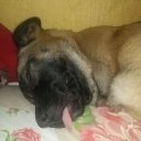 ���� �����, �����-�������� - ��������� 9 ������� 2014 � ������ �����