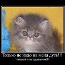 ���� ������, ������, 36 ��� - ��������� 1 ���� 2014