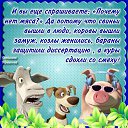 ���� �����, ���������, 64 ���� - ��������� 7 ������ 2014 � ������ ���� ����������