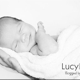 ������, ������, 66 ���