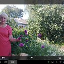  , -, 65  -  15  2014    