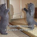  , , 50  -  26  2014     .. ; ))