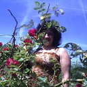 ���� ����, ������, 51 ��� - ��������� 9 ���� 2014 � ������ �������