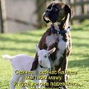 ���� Anna, �����-���������, 48 ��� - ��������� 2 ���� 2014 � ������ ��������� 2�