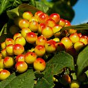 ������. ���� 2014 �� ������� �� ��� - ��������!!!)))�