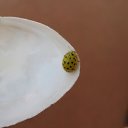 ���� ������, ����� - ��������� 12 ���� 2014 � ������ ������ ��������