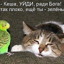 ���� Irina, ������ - ��������� 4 ��� 2014 � ������ �������