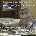 ���� �����, ���������� - ��������� 12 ������ 2014 � ������ ������ ��������