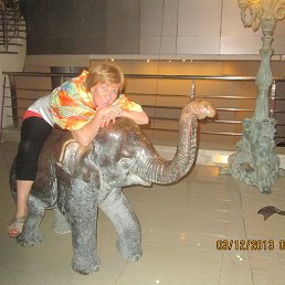 ���� �����, ������������ - ��������� 24 ����� 2014