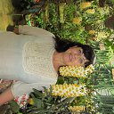 ���� �������, ����-��, 62 ���� - ��������� 20 ��� 2014