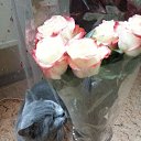 ���� �����, ������, 44 ���� - ��������� 19 ����� 2014 � ������ ���� ������� �������