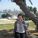 ����-����,������2014 �� ������� ���� ����������