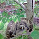 ���� �������, �������, 75 ��� - ��������� 12 ������� 2014 � ������ ���� ����������