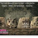 ���� �����, ������������ - ��������� 5 ������ 2014 � ������ �������, ���� ������� ��������.�