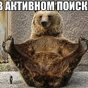 ���� �������, ����-���������, 53 ���� - ��������� 22 ��� 2014 � ������ ������ ��������