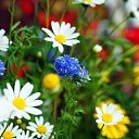 ���� ������, ��������� - ��������� 22 ���� 2014 � ������ ������ ��������