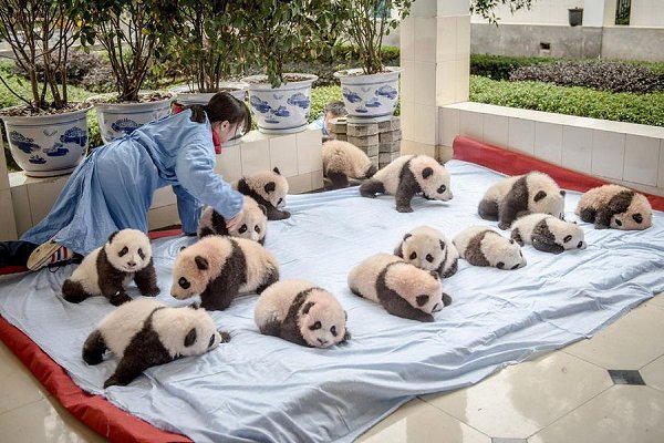 �����-����� ������ �����.������� �� PBS � National Geographic Television ������ � ���������� ��� ... - 2