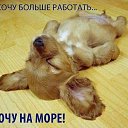 ���� ������, ���� - ��������� 20 ��� 2014 � ������ ������ ��������