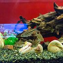  , , 46  -  24  2014      &quot; &quot;