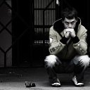  ,  , 62  -  24  2014    