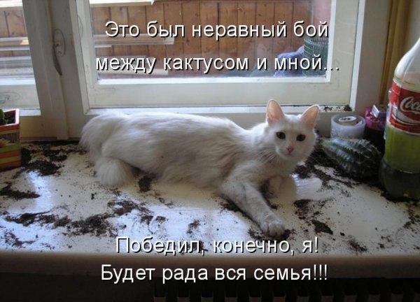  -  - 9  2014  18:46