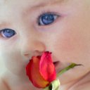 ���� �����, ������, 33 ���� - ��������� 24 ���� 2014 � ������ ���� ����������