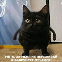 ���� ����, ������, 66 ��� - ��������� 6 ��� 2014 � ������ ���� ����������