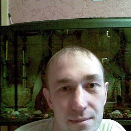 Diman, �������-���������, 43 ����