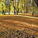 ���� ����������, ������� ��������, 63 ���� - ��������� 7 ���� 2014 � ������ ��������� ������� ��������