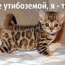 ���� Leonid, �����-���������, 39 ��� - ��������� 5 ���� 2014 � ������ ������ ��������