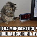 ���� ������, �������, 37 ��� - ��������� 1 ������� 2014 � ������ ���� ����������