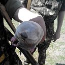 ���� ���������, ��������, 50 ��� - ��������� 5 ���� 2014 � ������ �����������߻