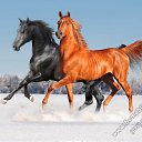  Natalia, , 62  -  30  2014    