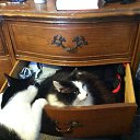 ���� ����, ������ - ��������� 10 ������ 2014 � ������ ���� ����������