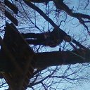 ���� ����, �����, 48 ��� - ��������� 26 ������ 2014 � ������ ����������